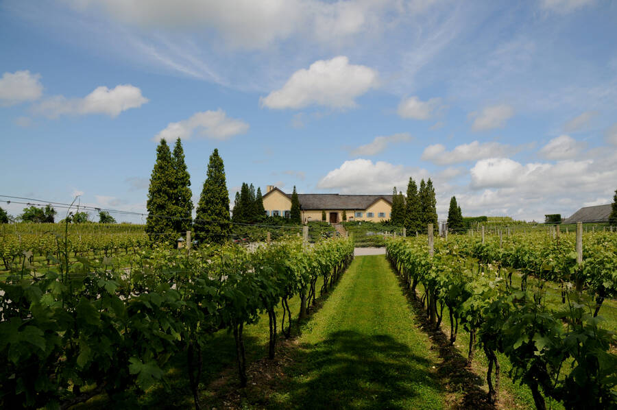 Wolffer Estate Vineyard, famous places in long island