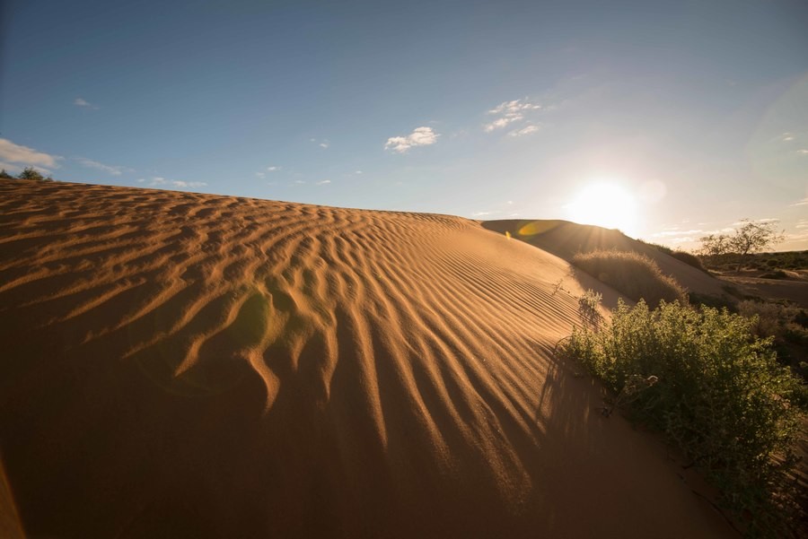 Sand dunes on a clear day with blue skies and diffused soft light