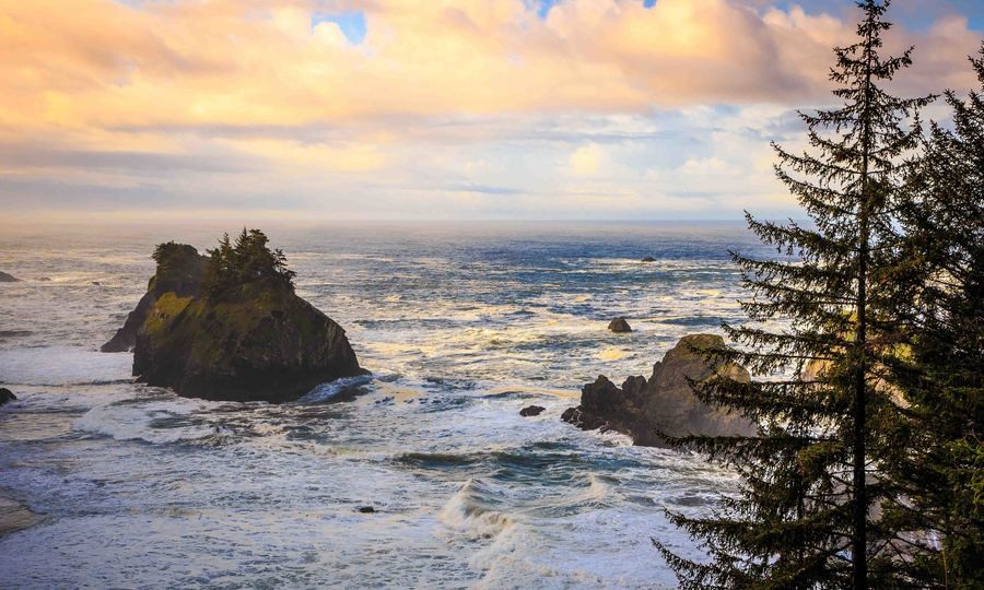 Soft light over forested sea stacks in the Souther Oregon Coast