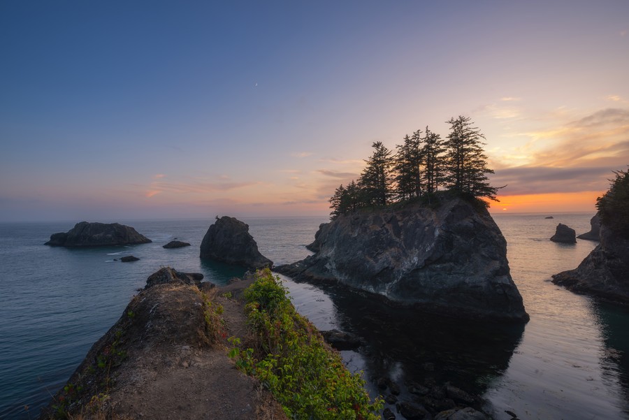 Soft sunset light over forested sea stacks on the Oregon Coast