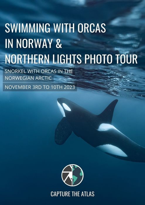 Swimming with orcas and photographing northern lights photo tour brochure cover
