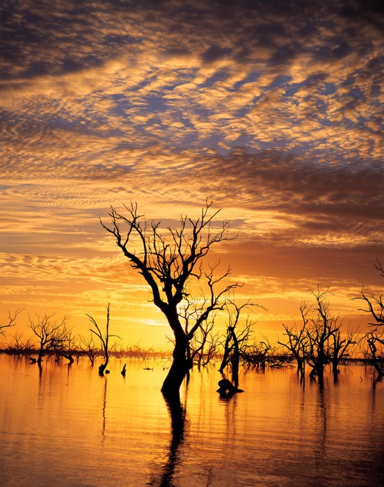 Colorful sunset at Menindee lakes in the Australian Outback