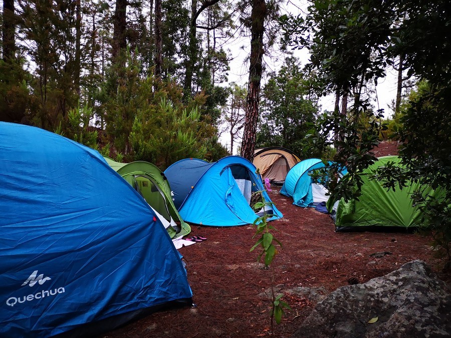 Las Hayas, camping on tenerife