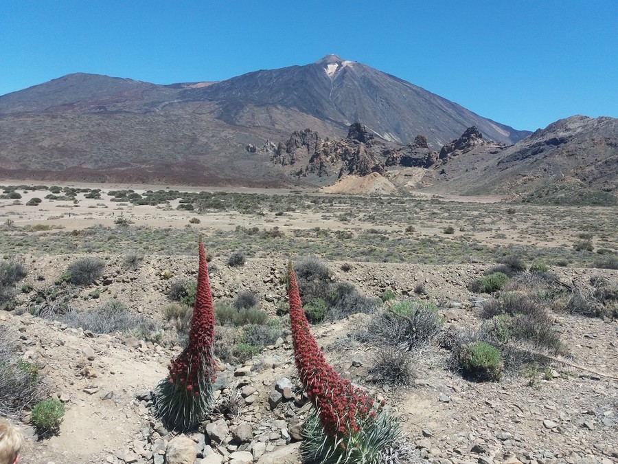Llano de Ucanca, mirador de Tenerife cerca del Teide