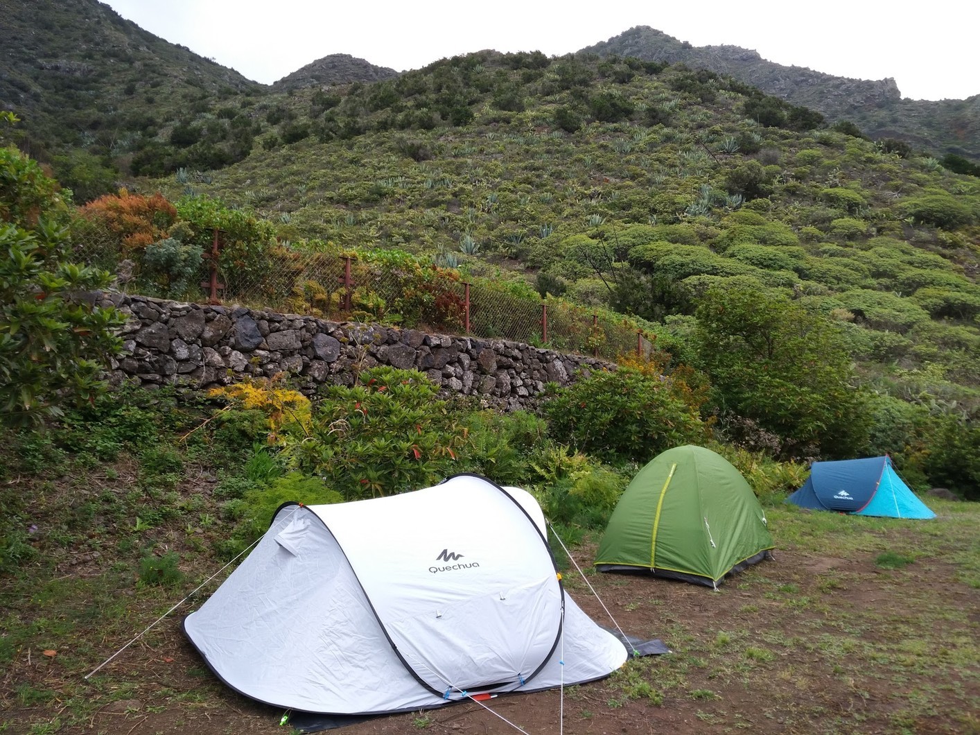 Los Pedregales, camping site in tenerife north