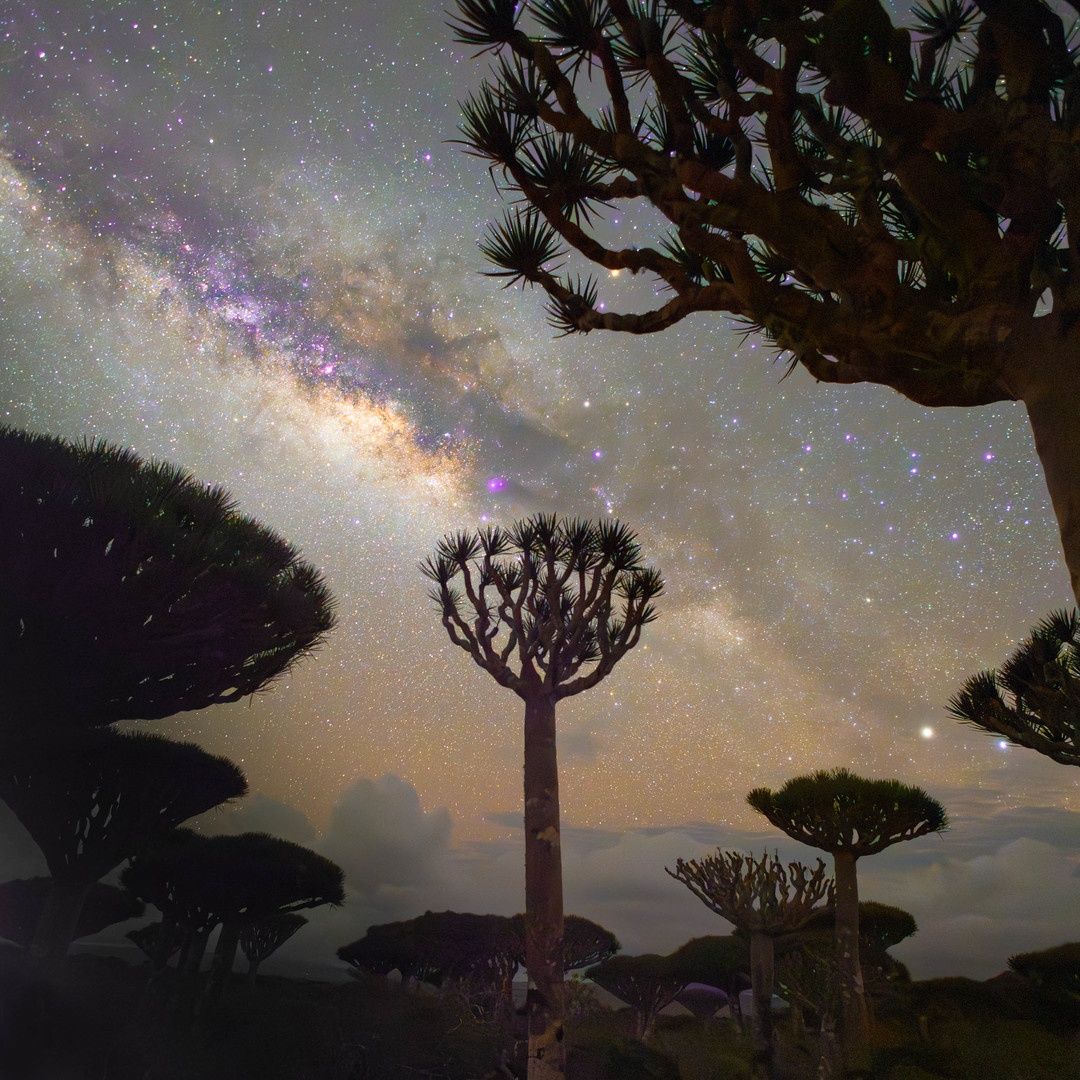 Vía Láctea cubre el cielo nocturno en Socotra