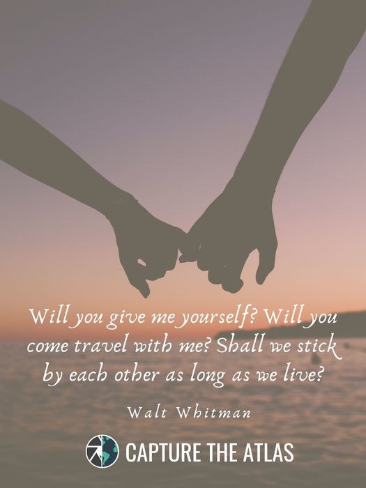 43. "Will you give me yourself? Will you come travel with me? Shall we stick by each other as long as we live?" – Walt Whitman