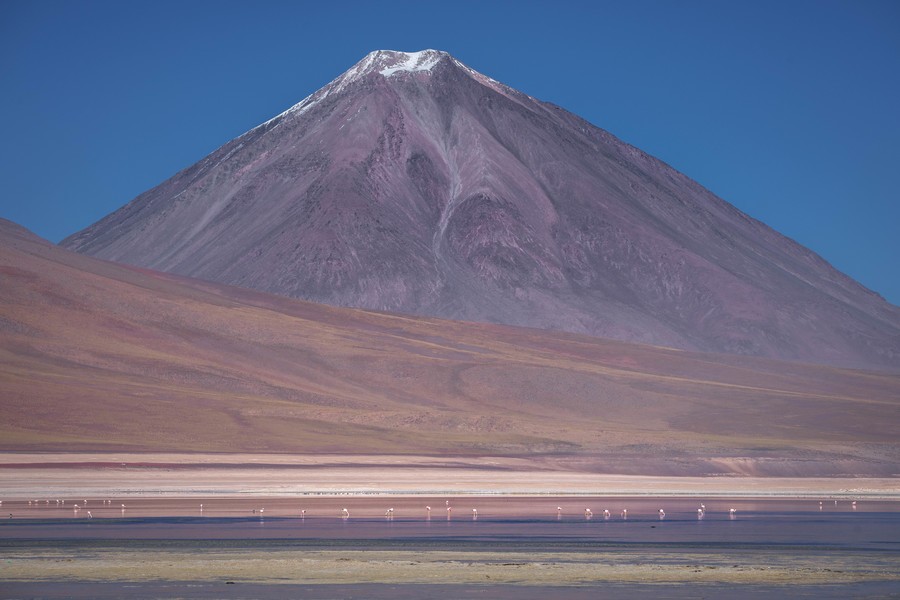 Snow-capped volcano with flamingos in the foreground