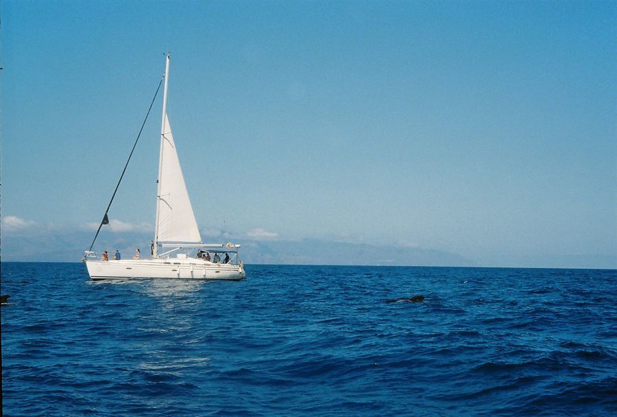 Sailboat ride, boat hire tenerife south