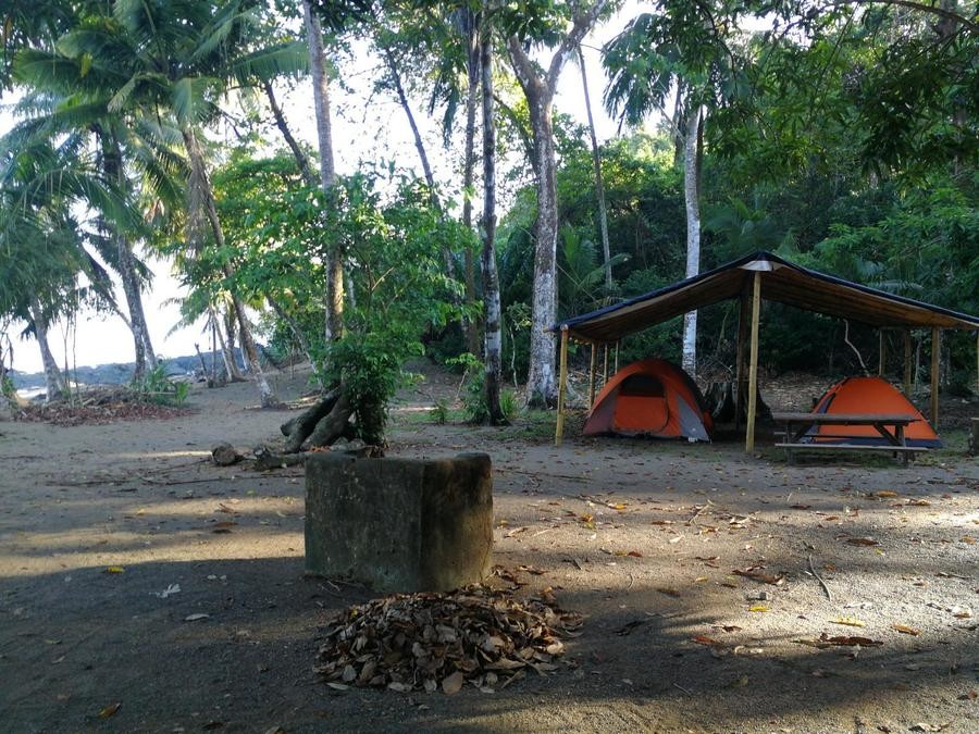 San Pedrillo campsite, camping corcovado costa rica