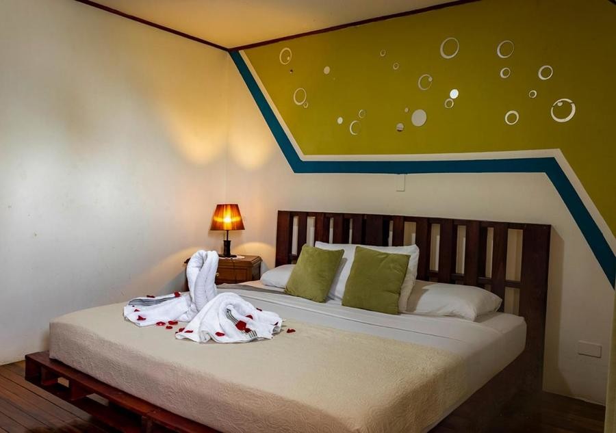 Eco Stay Hostel, a hostel in San José with good location