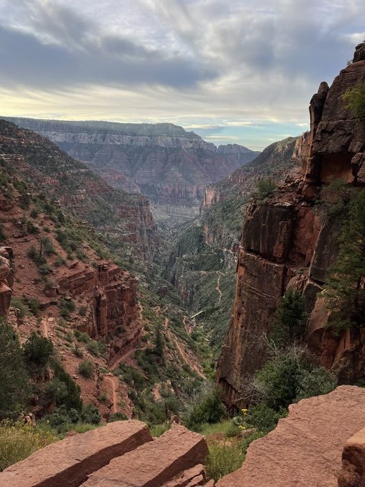 Go for a walk along the North Kaibab Trail and see the Colorado River from the North Rim