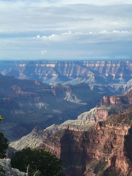 Hike the Transept Trail, one of the easiest things to do at Grand Canyon North Rim