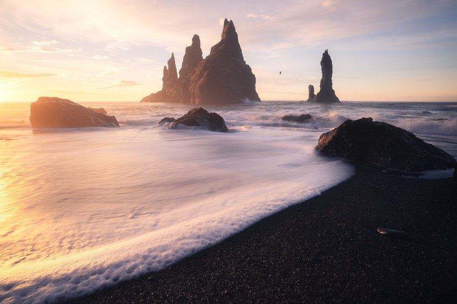 Black sand beach in Iceland with sea stacks during a sunrise