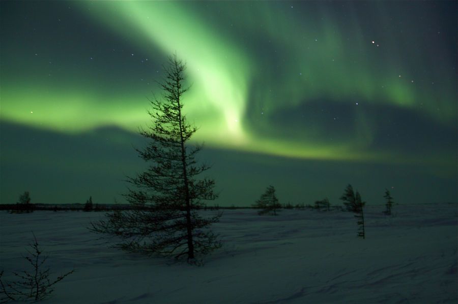 Churchill (Manitoba), when can you see the northern lights in canada