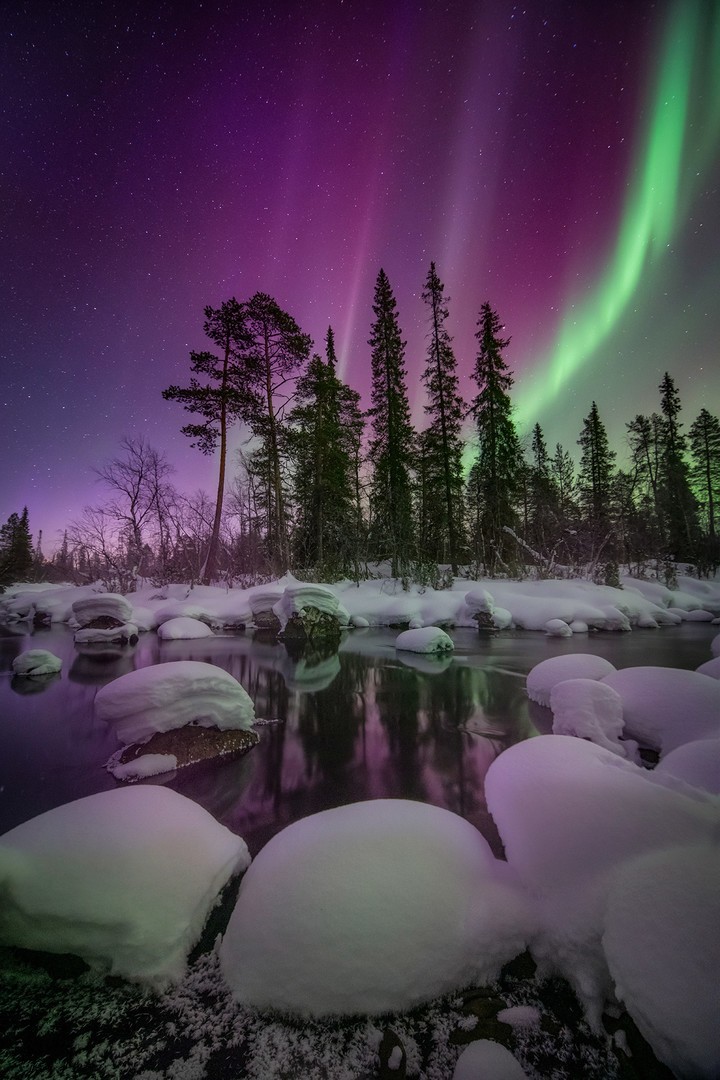 Bright pillars of the Northern Lights shining over a snowy forest