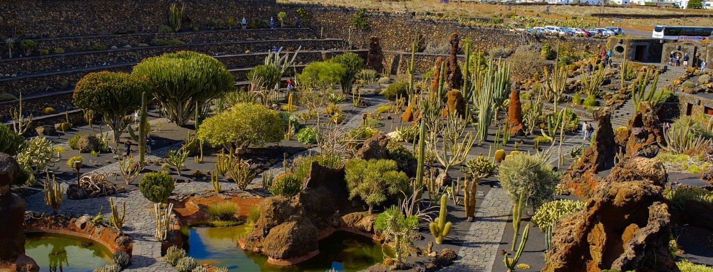 EL Jardín de Cactus de Lanzarote es una de las mejores atracciones de la isla