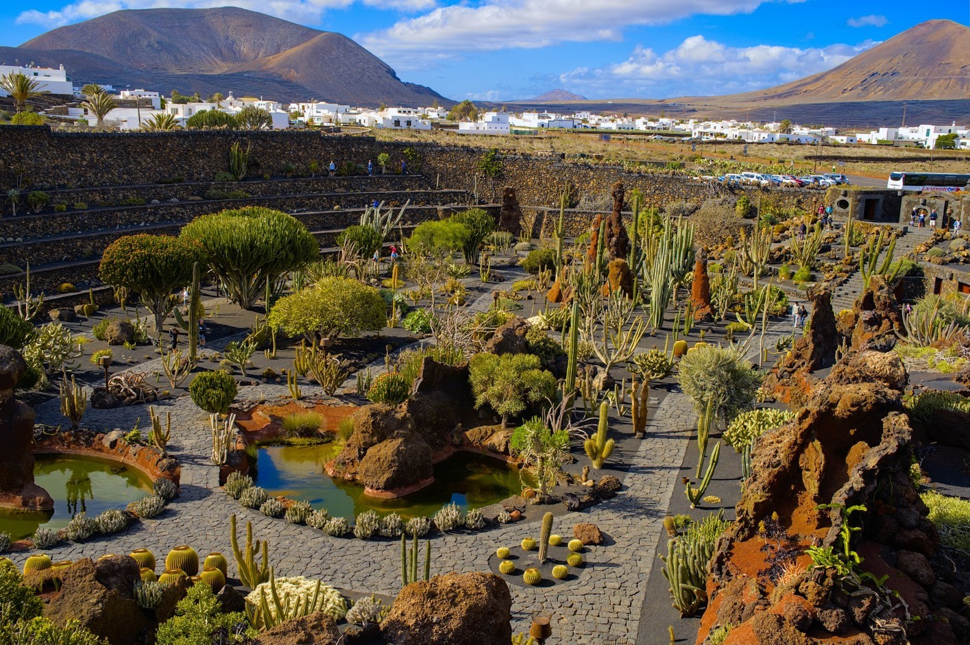 Tour guiado al Jardín de Cactus en Lanzarote