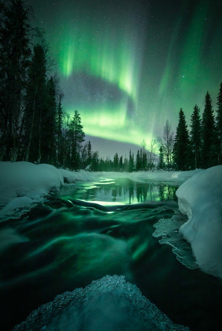 Nighscape of a forest and a river with snow and the aurora shining in the sky