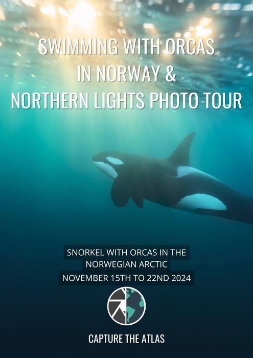 Swimming with orcas and photographing northern lights photo tour brochure cover