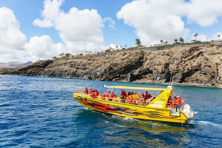 Speedboat ride to see dolphins, boat tour in lanzarote