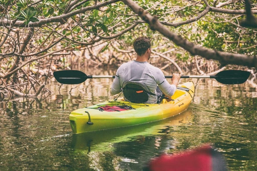 Hacer kayak en el Humedal Nacional Térraba Sierpe en Bahía Drake en Puntarenas en Costa Rica