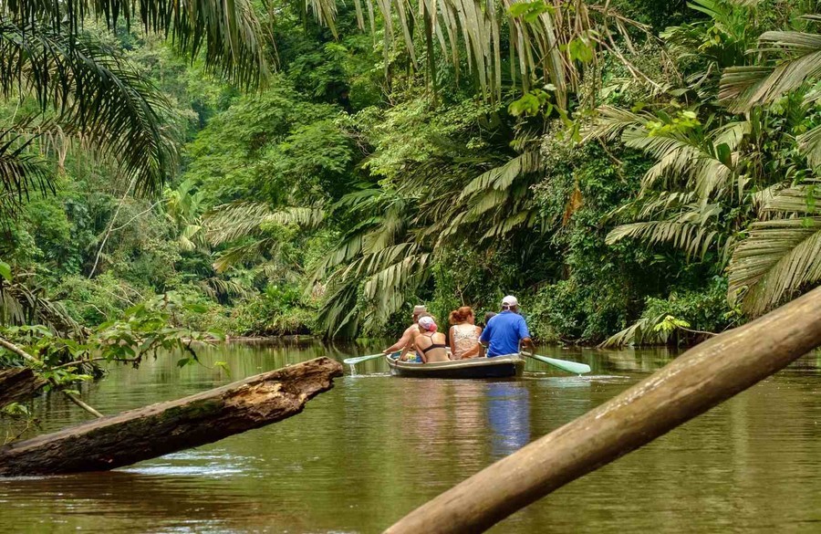 Tour en barca por Tortuguero, una de las excursiones en Costa Rica baratas