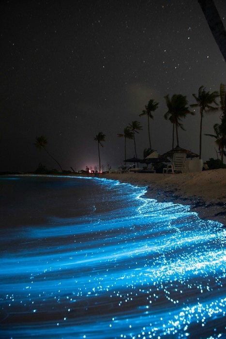 Kayak bioluminiscente, una de las actividades que no te puedes perder en Santa Teresa Costa Rica