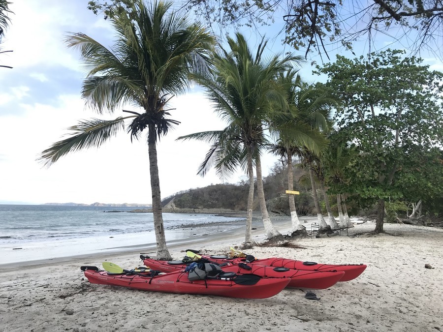 Take a kayaking excursion in Isla Tortuga, Costa Rica