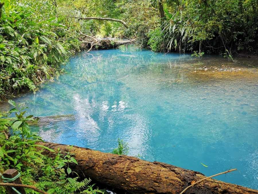 Laguna Azul en Río Celeste, Costa Rica