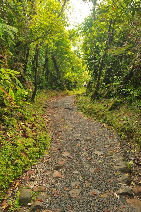 Lugares principales que ver en Río Celeste, Costa Rica