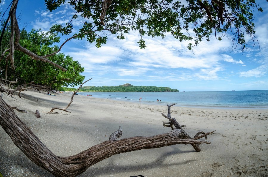 Playa Conchal, una de las playas de Tamarindo donde relajarse en la naturaleza