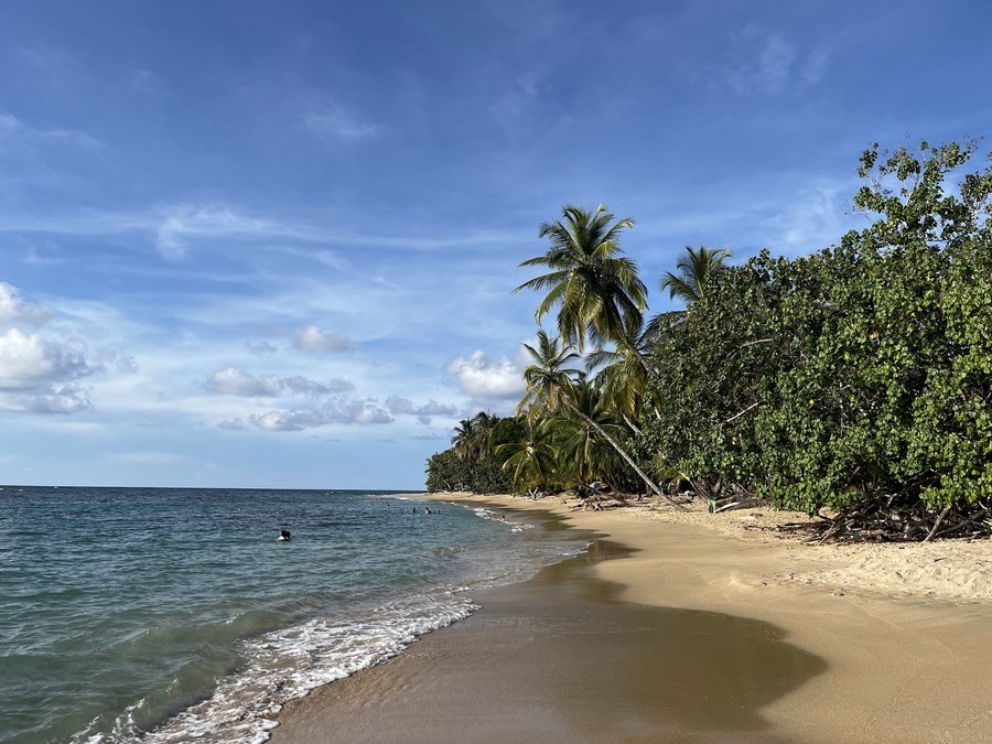 Playa Uva, una de las mejores playas en Puerto Viejo, Costa Rica 