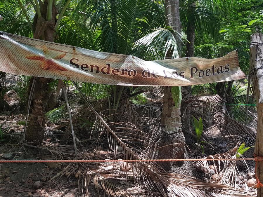Si te gustan las caminatas, te recomiendo el Sendero de Los Poetas de Isla Tortuga