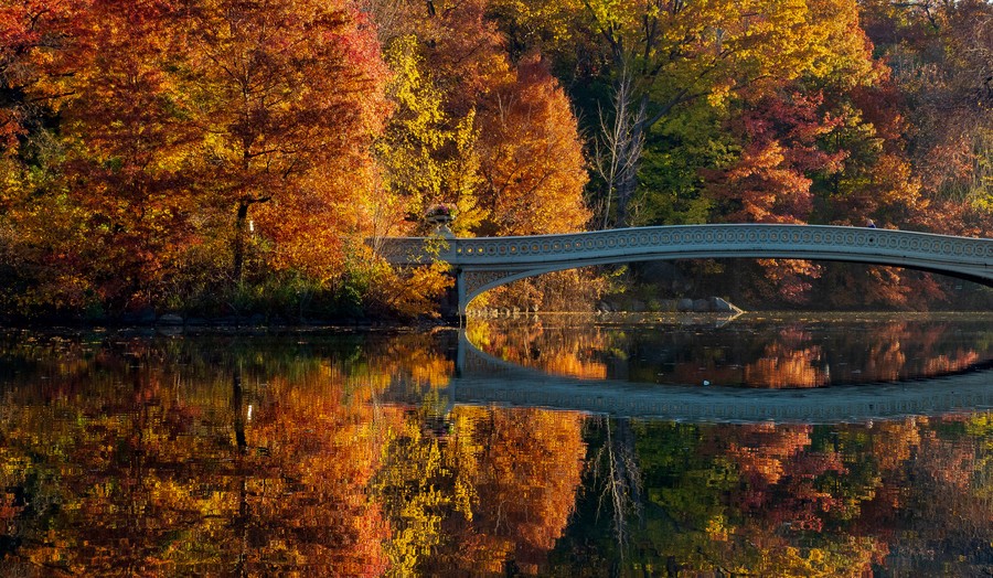 Bow Bridge, central park in fall