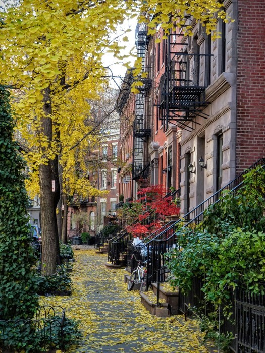 Greenwich Village, best things to do in nyc in the fall