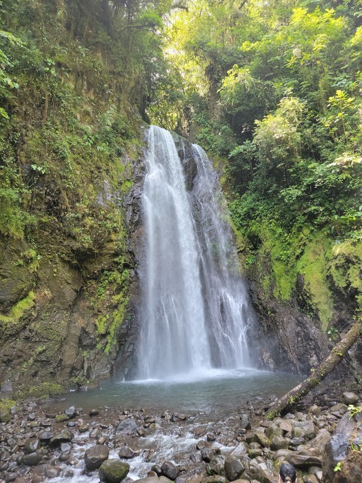 Cascada El Tigre en el Parque Nacional Monteverde