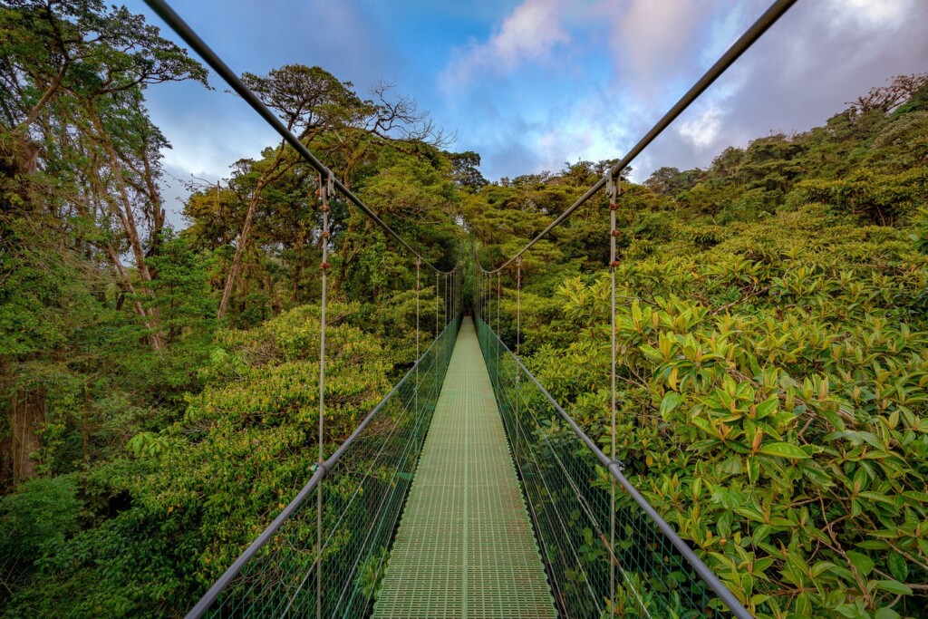 Monteverde National Park suspension bridges