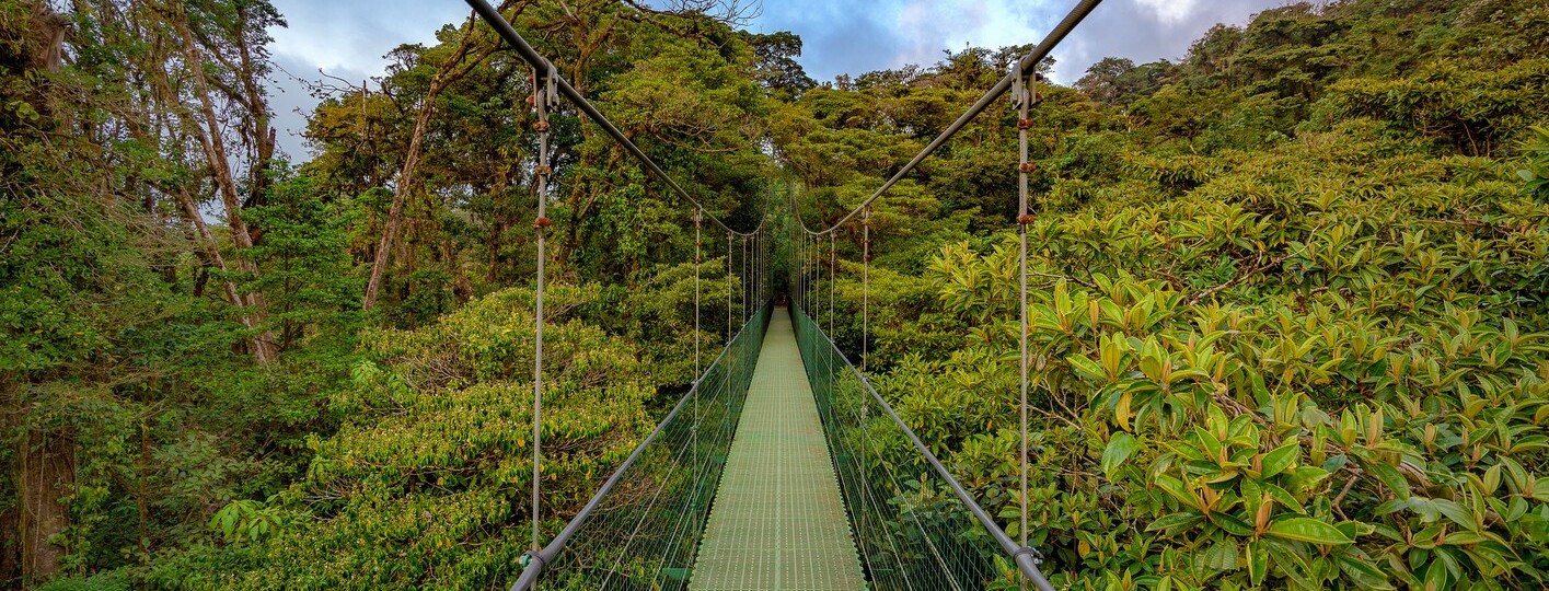 Mejor época para ir al Parque Nacional del Bosque Nuboso de Monteverde, Costa Rica