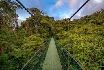 Mejor época para ir al Parque Nacional del Bosque Nuboso de Monteverde, Costa Rica