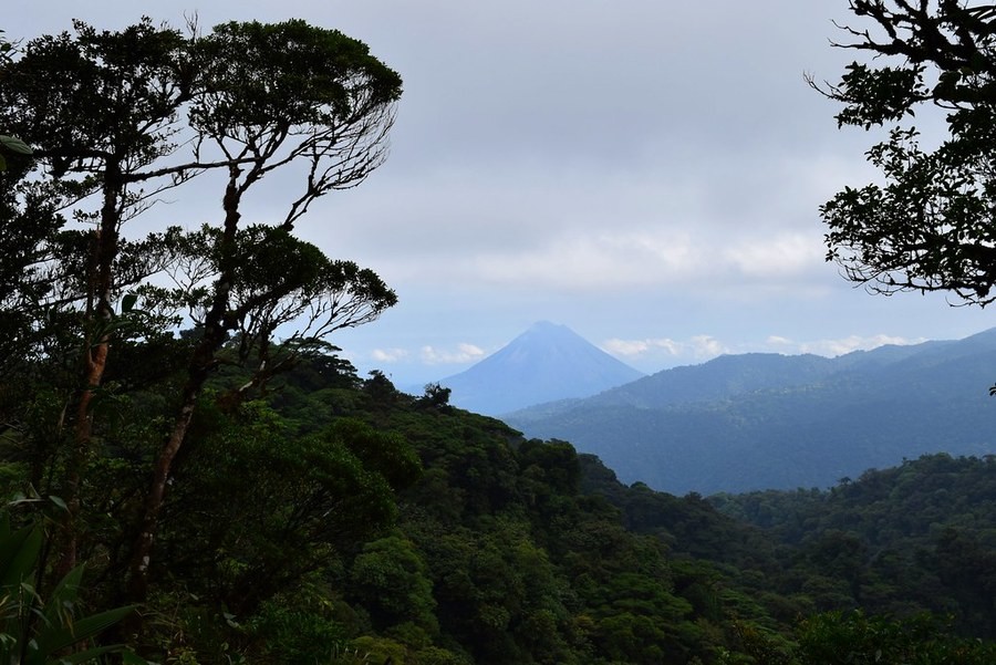 Santa Elena Cloud Forest, another thing to do in Monteverde