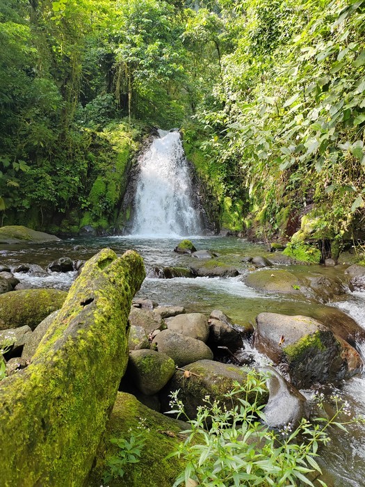 The Children’s Eternal Forest, a Monteverde waterfall hike