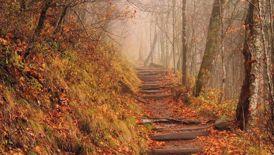 Appalachian Trail, best hikes north east usa