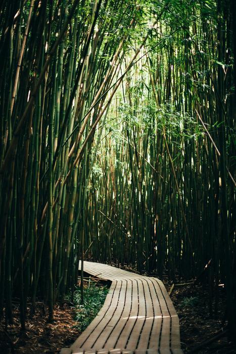 Waimoku Falls via Pipiwai Trail, best backpacking trails in the united states