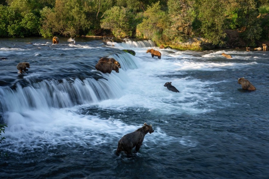 Brooks Camp, AK, best places to camp in the USA