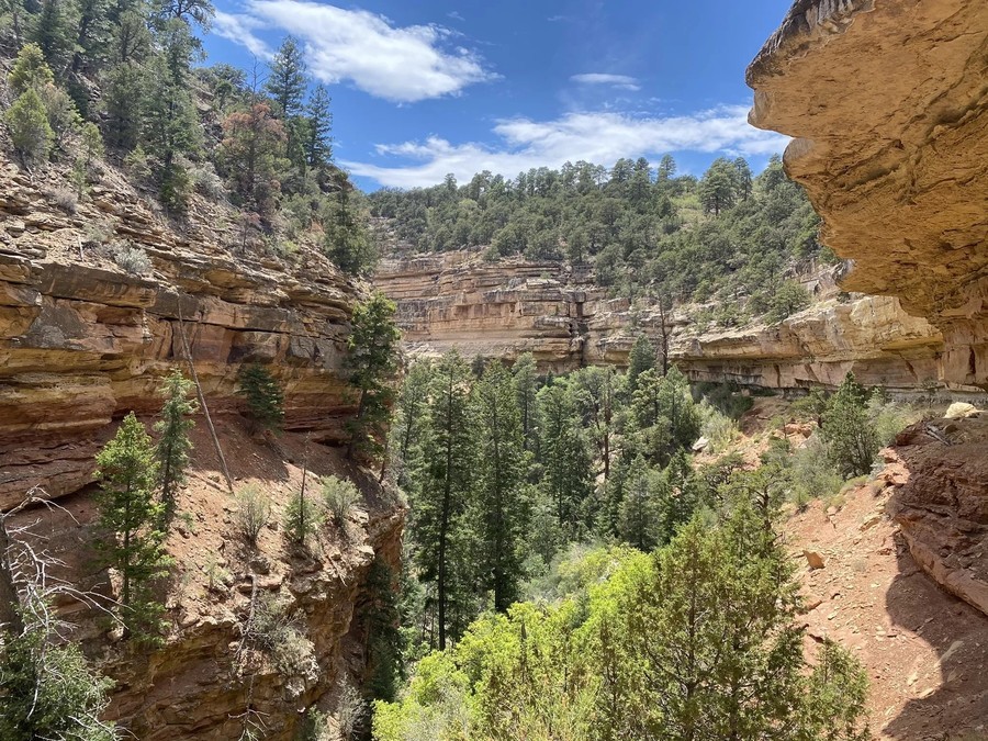 Cliff Spring Trail, an easy hike Grand Canyon North Rim