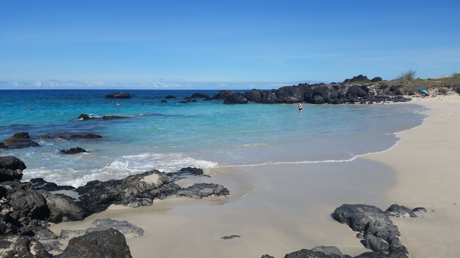 Manini'owali Beach, playa de Estados Unidos para ver delfines