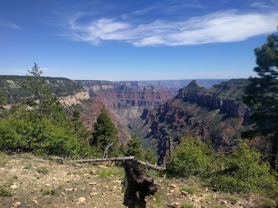 Widforss Trail, a popular Grand Canyon North Rim trail