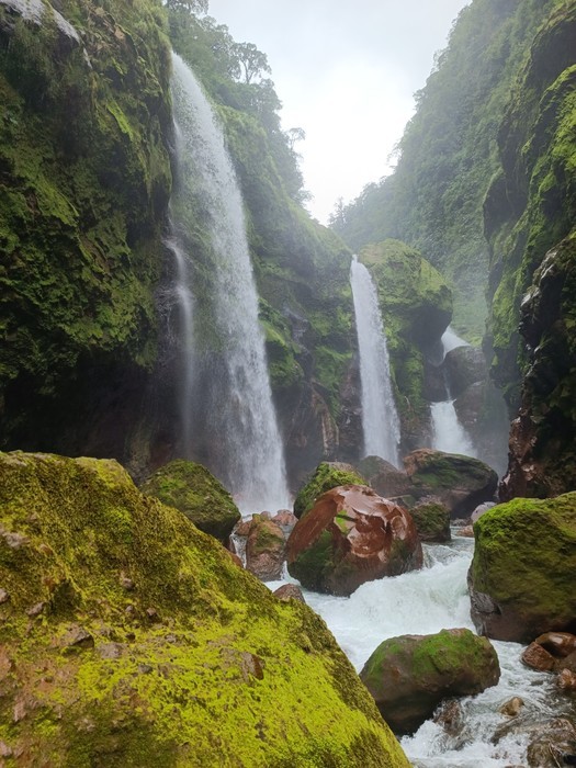 Quebrada Gata Waterfall, a costa rican fall where you can see animals