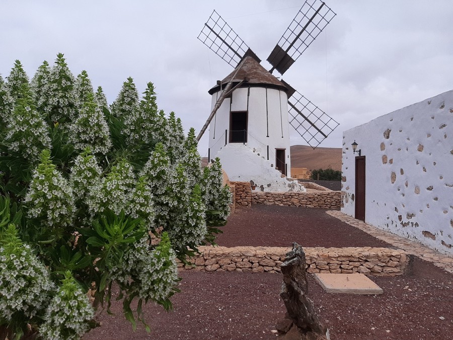 Centro de interpretación Los Molinos, un museo sencillo en Fuerteventura